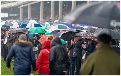 cheltenham going report|Cheltenham going and weather: What’s the latest for .